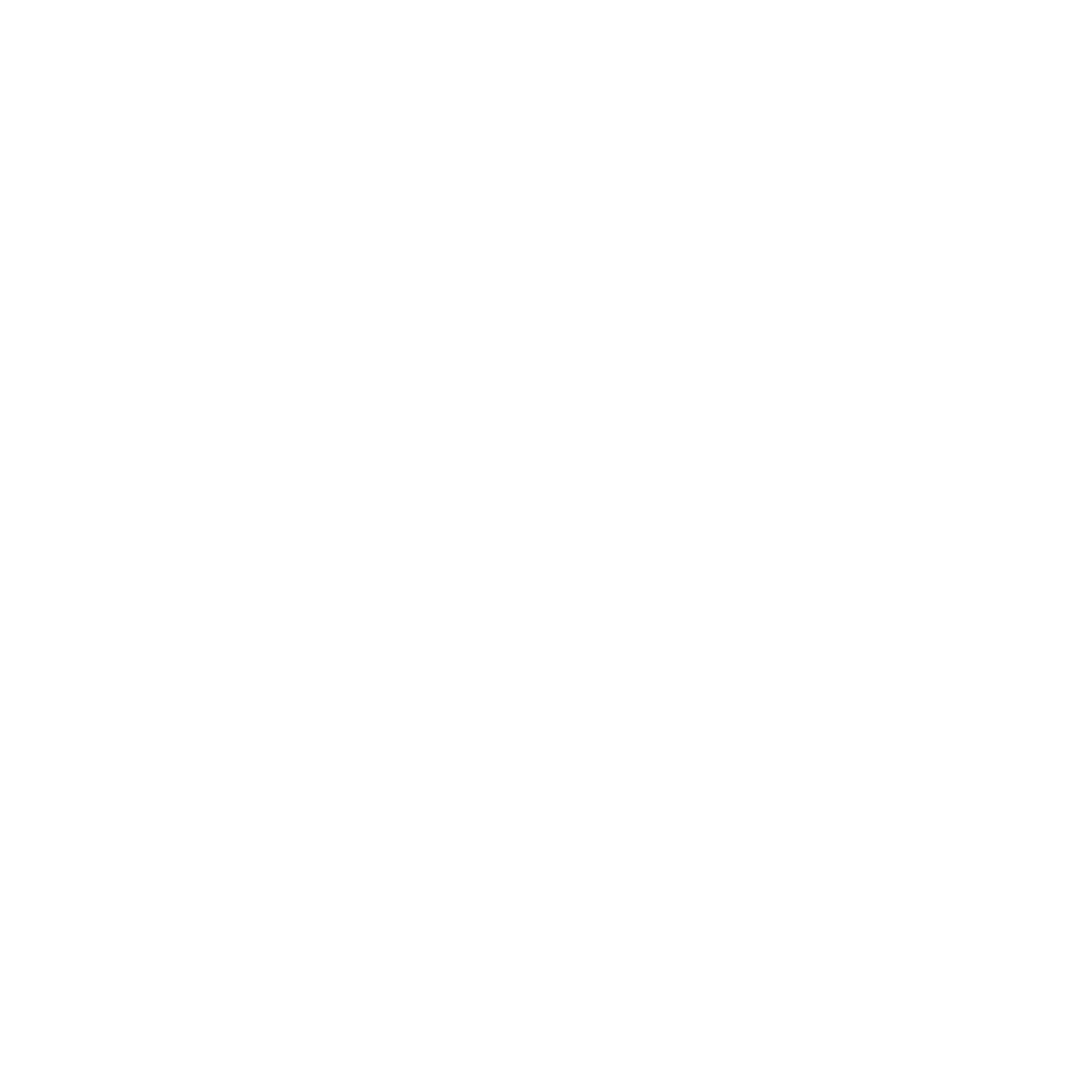 FK-SSB Logo