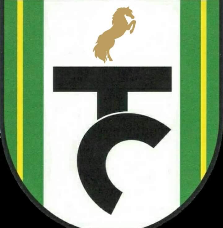 SSB TUNAS CILEUNGSI